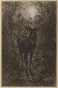  af Karl Bodmer