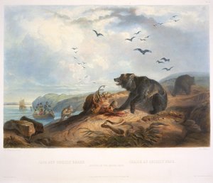 Jagt på Grizzlybjørnen