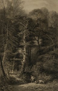 Skovens indre af Karl Bodmer
