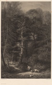 Skovens indre af Karl Bodmer