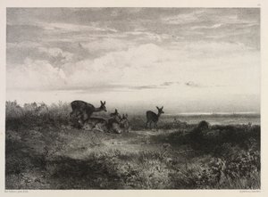 Landskab med hjorte af Karl Bodmer