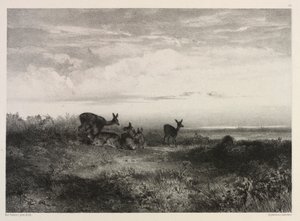 Landskab med hjorte, ca. 1840. af Karl Bodmer