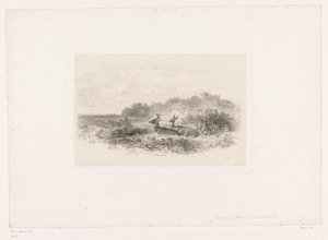 Landskab med to hvidhalede hjorte Landskaber med dyr (serietitel) af Karl Bodmer