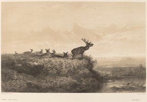 Morgenen. af Karl Bodmer