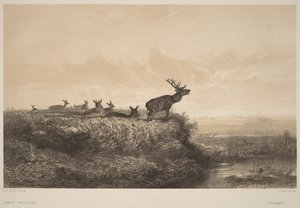 Morgenen af Karl Bodmer
