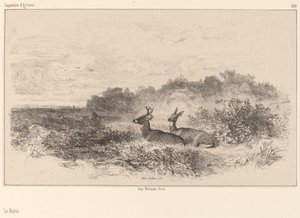 Hvile af Karl Bodmer