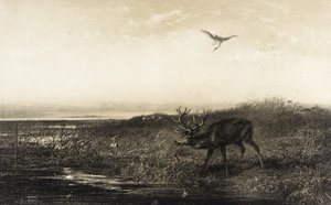  af Karl Bodmer