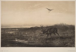  af Karl Bodmer