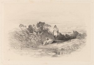 De to hejrer af Karl Bodmer