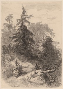 Fasanerne. af Karl Bodmer
