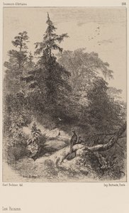 Fasaner af Karl Bodmer