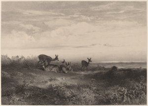Hinderne. af Karl Bodmer