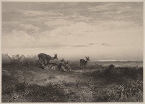 Hinderne af Karl Bodmer