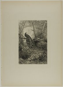 Påfugle på en gren af Karl Bodmer