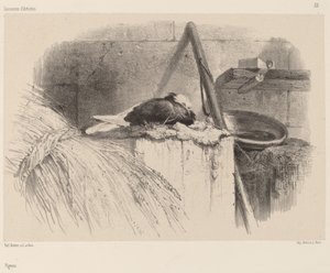 Due. af Karl Bodmer