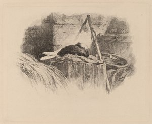 Due på en rede. af Karl Bodmer