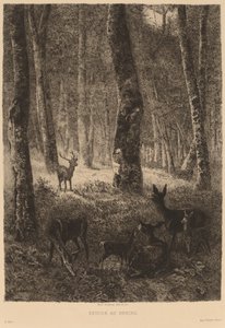 Hjem igen af Karl Bodmer