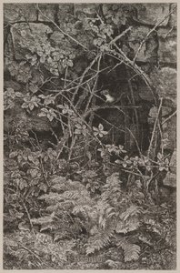 Springende mår af Karl Bodmer