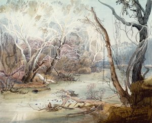 Fox River nær New Harmony, Indiana af Karl Bodmer