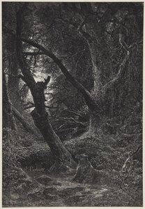  af Karl Bodmer