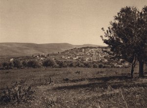 Cana (s/h foto) af Karl Grober