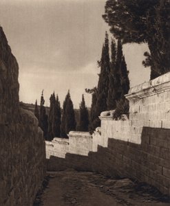 Jerusalem, Garden of Getsemane (B/W Photo) af Karl Grober