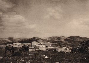 Samaria, udsigt fra ruinerne af Herodes palads (s/h foto) af Karl Grober