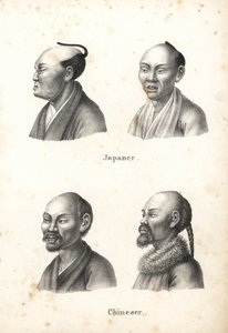 Buster af japanske mænd med chonmage topknot frisure, og kinesiske mænd med skæg, en med pigtail. Litografi af Karl Joseph Brodtmann fra Heinrich Rudolf Schinz