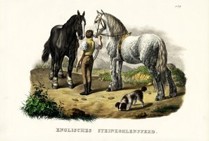 Engelsk Pit Horse, 1824 af Karl Joseph Brodtmann