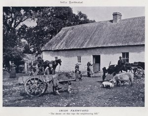 Irish Farmyard (s/h foto)