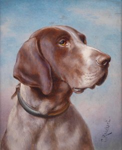 Hund portræt af Karl Reichert