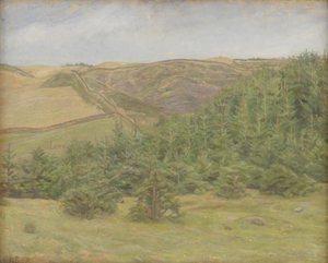 Svanninge Hills, Funen