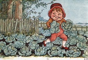 En nisse stjæler kål fra en køkkenhave. (En nisse stjæler kål). Illustration af Kate Greenaway (1846-1901) fra bogen med eventyr og børnerim for børn "" Under The Window" (1879), redigeret af Edmund Evans.
