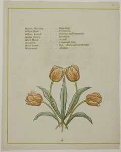 Dekorativ illustration, fra The Illuminated Language of Flowers af Kate Greenaway