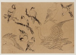 Fugle, Edo-periode, slutningen af det 18.-begyndelsen af det 19. århundrede. af Katsushika Hokusai