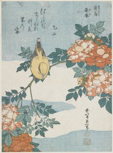Black-Naped Oriole og China Rose, ca. 1833 af Katsushika Hokusai