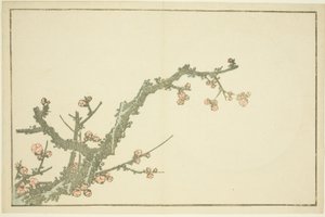 Blooming Plum Tree, fra The Picture Book of Realistic Paintings of Hokusai (Hokusai shashin gafu) af Katsushika Hokusai