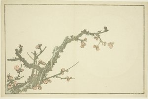 Blomstrende blommetræ, fra The Picture Book of Realistic Paintings of Hokusai (Hokusai shashin gafu), ca. 1814 (farvetræsnit (albumark)) af Katsushika Hokusai