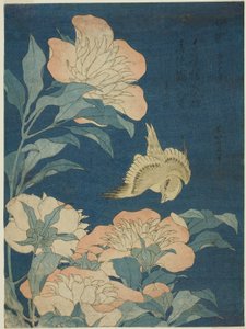 Canary and Peony (Canary, shakuyaku), fra en unavngiven serie af blomster og fugle af Katsushika Hokusai