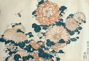 Krysantemum (træbloktryk i farver) af Katsushika Hokusai