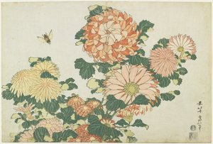 Krysantemum og Hesteflue, ca. 1832 af Katsushika Hokusai