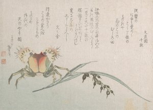 Krabbe- og risplante, 1800-tallet. af Katsushika Hokusai