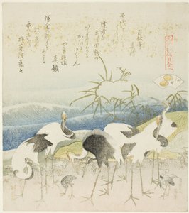 Cranes by the Shore, illustration til The Leg Shell (Ashigai), fra serien "A Matching Game with Genroku-period Poem Shells (Genroku kasen kai awase)" af Katsushika Hokusai