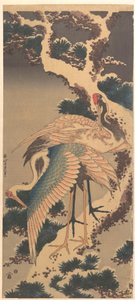 Kraner på en gren af et snedækket fyrretræ af Katsushika Hokusai