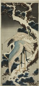 Traner på sneklædt fyrretræ af Katsushika Hokusai