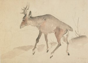 Hjort, slutningen af det 18.-begyndelsen af det 19. århundrede. af Katsushika Hokusai