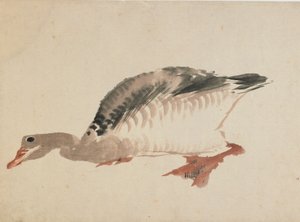 Gås, slutningen af det 18.-begyndelsen af det 19. århundrede. af Katsushika Hokusai