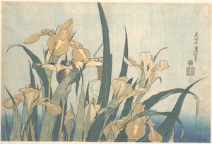 Græshoppe og iris af Katsushika Hokusai