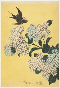 Hortensia og Svale, fra en unavngiven serie af store blomster af Katsushika Hokusai