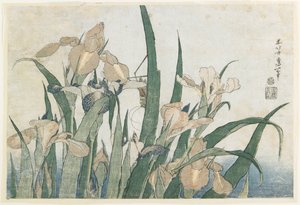 Iris blomster og græshoppe, ca. 1830-31 (træbloktryk i farver)